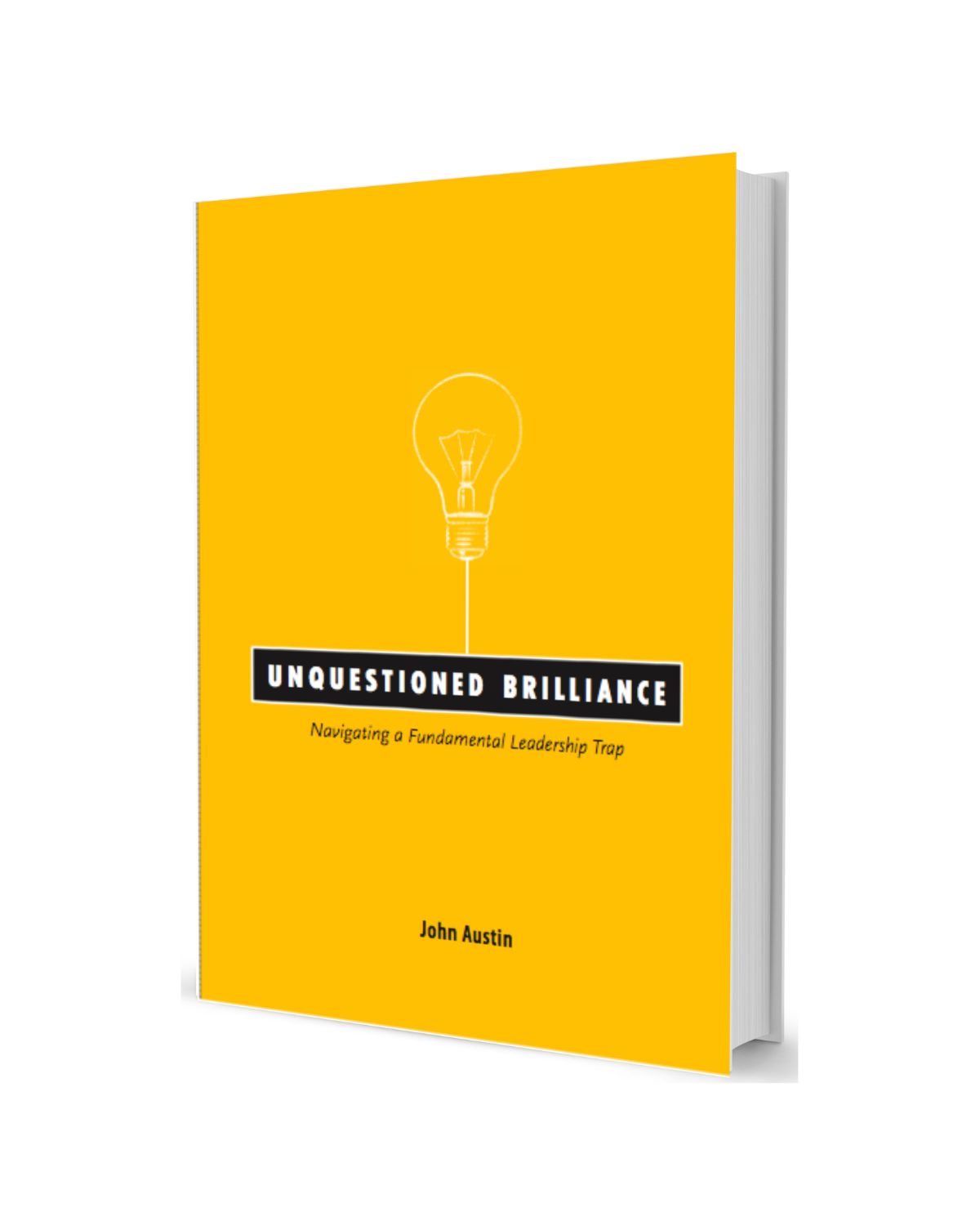 Cover of the book Unquestioned Brilliance by John Austin